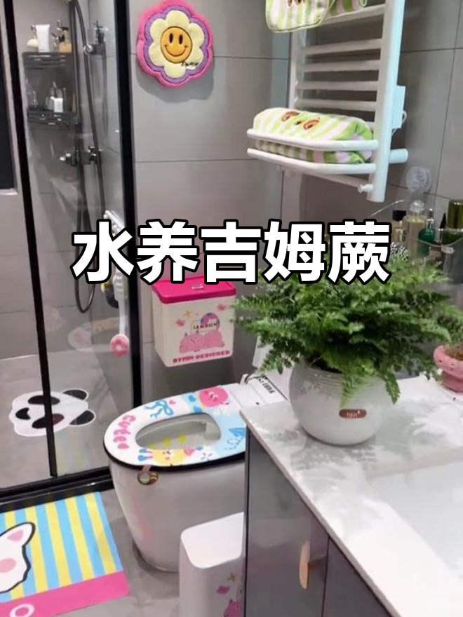 吉姆蕨盆栽:室内空气净化神器,轻松养护水培植物
