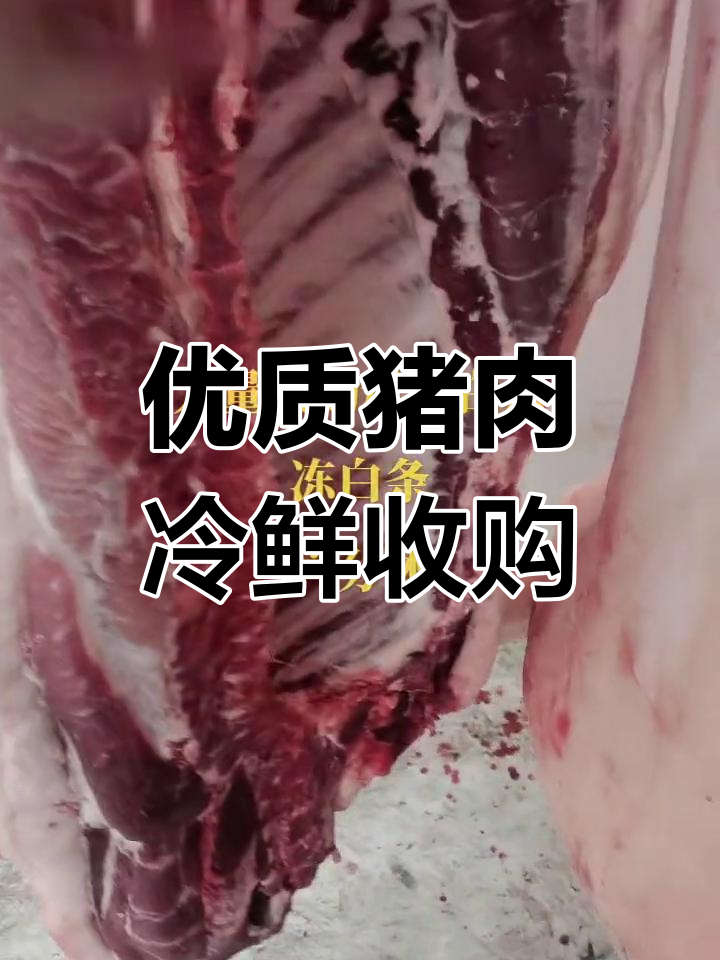 大量收购母猪白条,冻品六分体