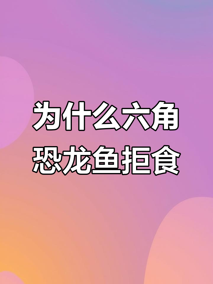 六角恐龙鱼不吃食?水质、食物和缺氧问题大揭秘