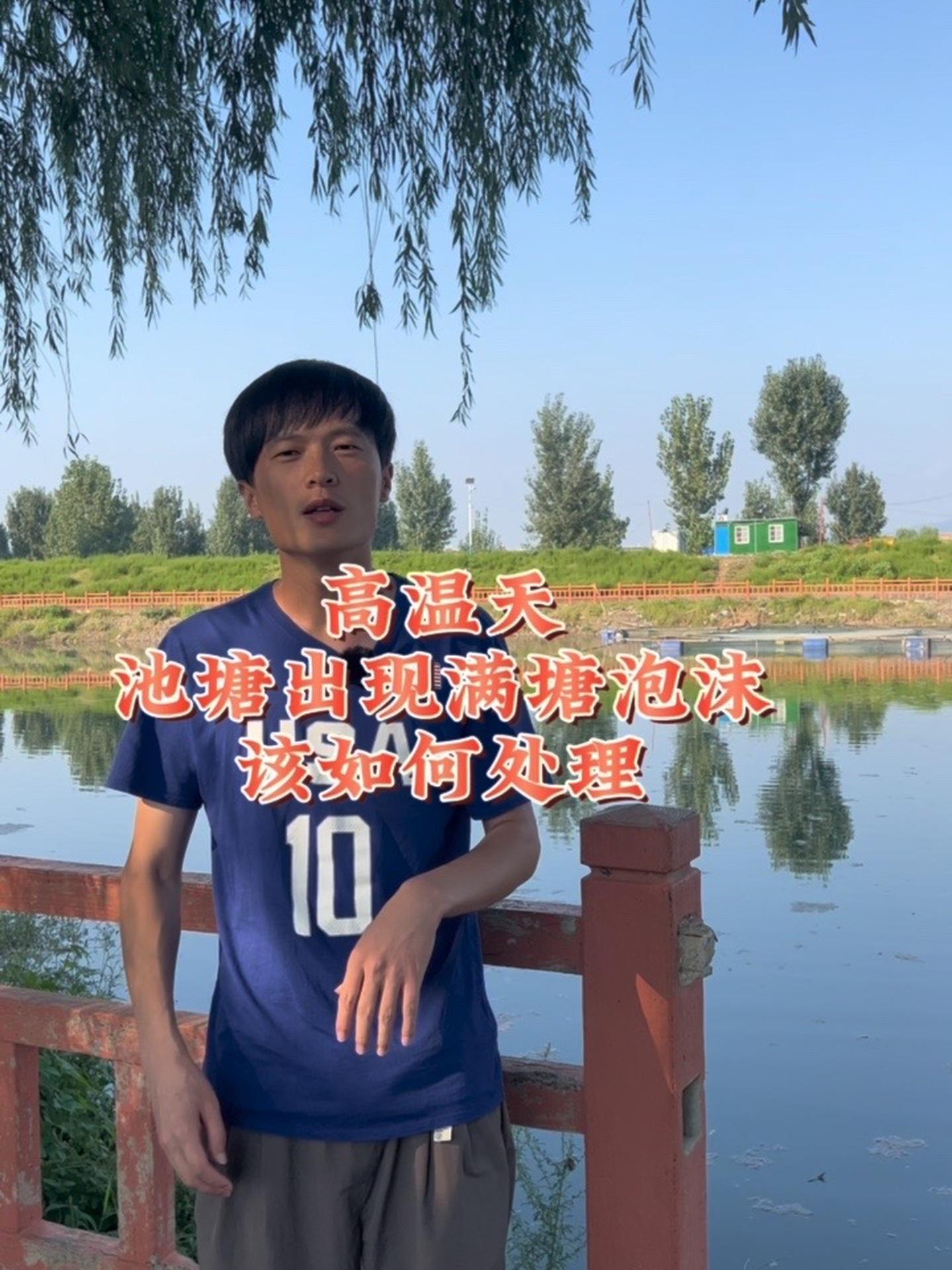 高温天气池塘出现满塘泡沫是什么问题该如何处理?四大家鱼养殖 鱼虾蟹养殖 高密度养殖 花白鲢