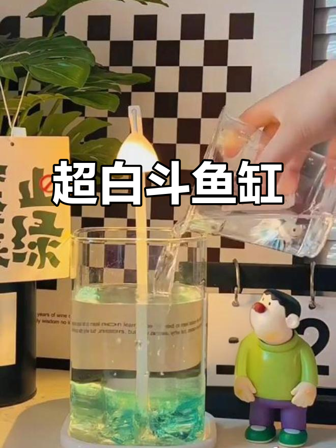 迷你斗鱼缸,超白玻璃设计,创意灯光让水族世界更美丽