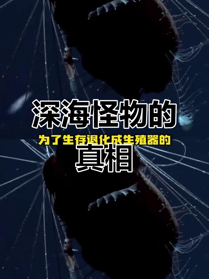 海钓遇到深海怪物,竟然不是鲤鱼!网友在线科普大王酸浆油