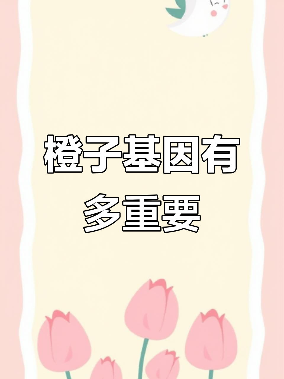 橙梦露的基因决定一切,多肉植物魅力满满