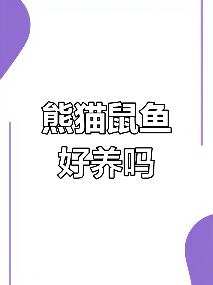 熊猫鼠鱼养殖心得:繁殖轻松,照顾不难