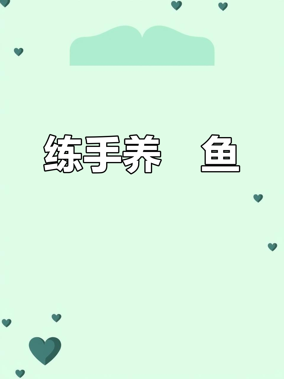 练手养魟鱼,轻松上手!黑白皇冠龙鱼等你来挑战