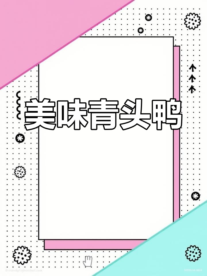 这款青头鸭煲汤鲜美,2.7斤售价50元,值得一试!