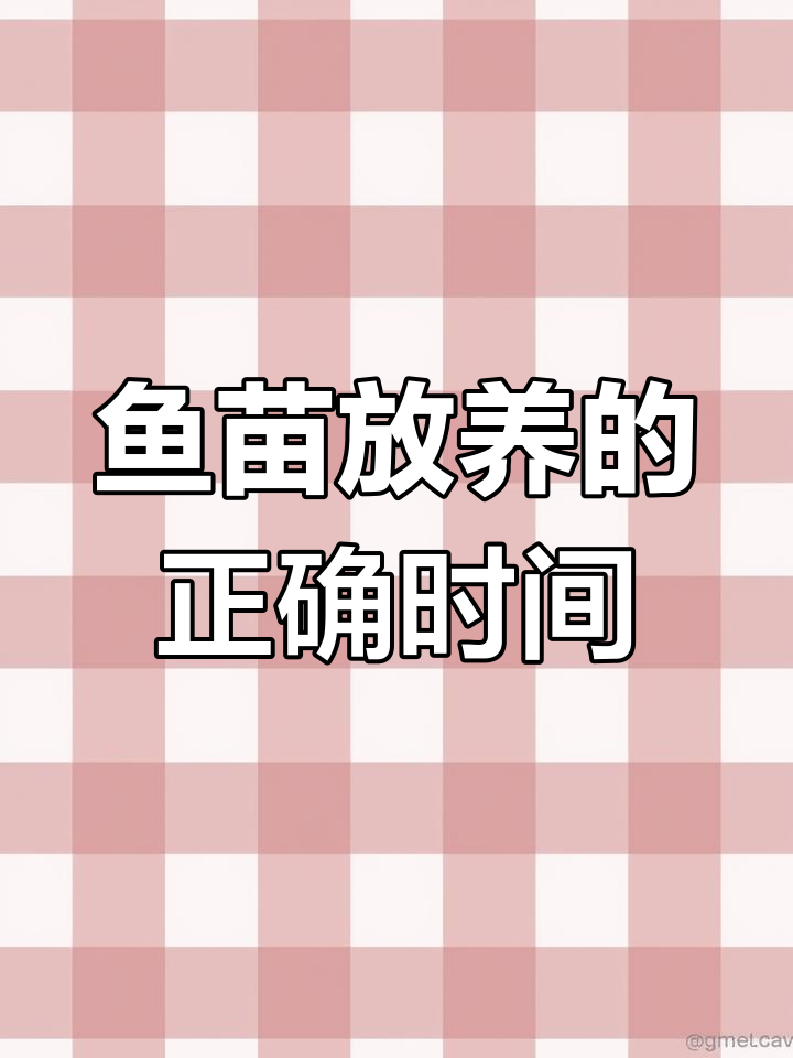 鱼苗放养的最佳时机:过冬前还是立春后?