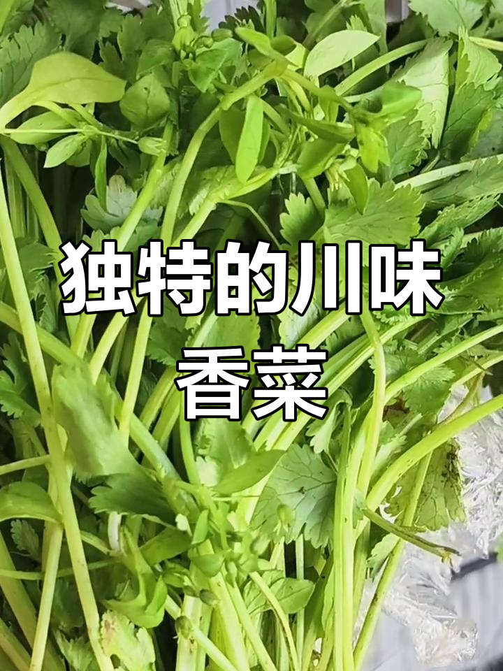 这香菜绝对不简单,四川的独特风味让我差点误以为是菜