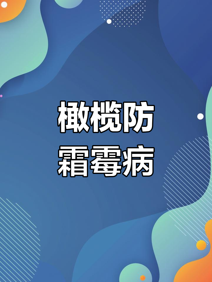 橄榄移栽后霜霉病防治技巧,提高成活率