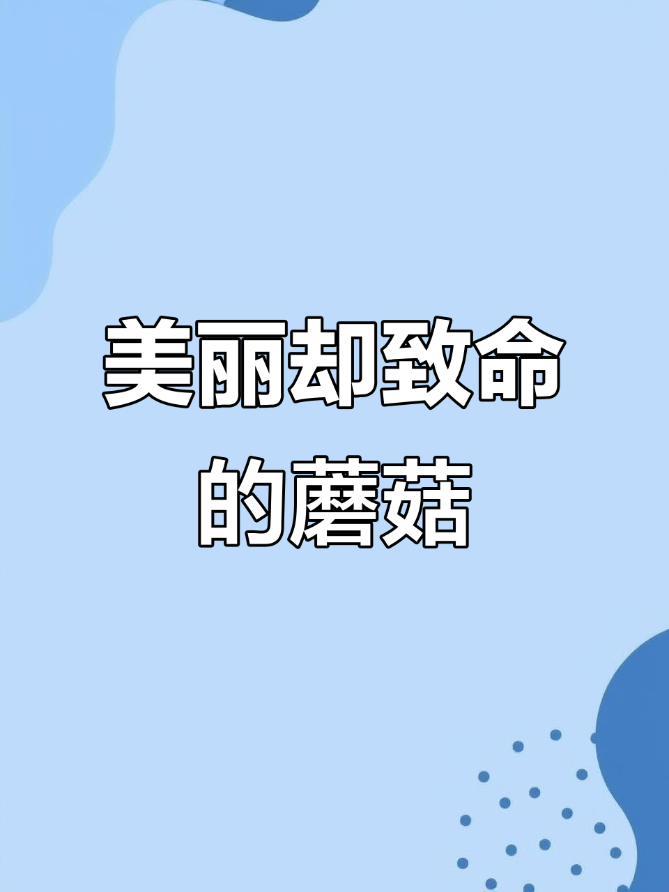 这些蘑菇有毒,但长得太美了!看看这些“毒”得让人心动的菇类