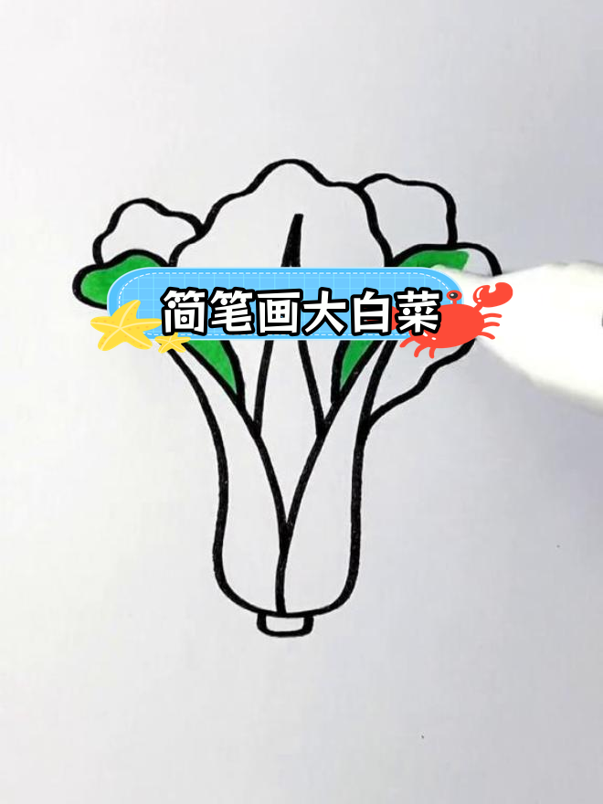 用简单线条画大白菜