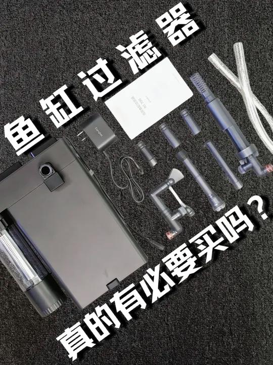 鱼缸过滤器真的有必要吗？