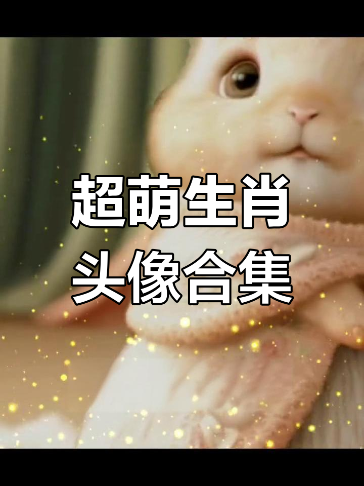 2022年超萌十二生肖头像,每个都超级可爱!