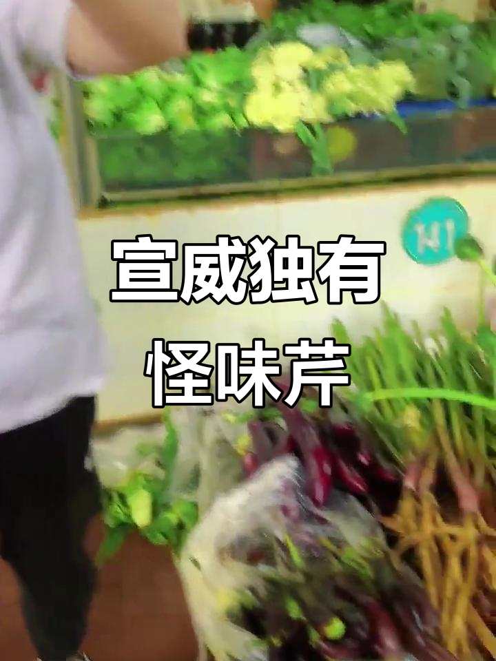 云南“芹菜王”大揭秘:独特野菜竟是冬季美味