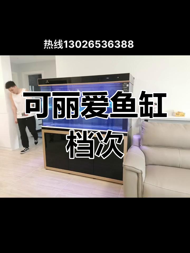 可丽爱鱼缸的定位与品质