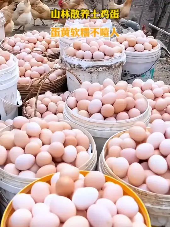 农家散养土鸡蛋 鲜鸡蛋 优质农产品 超便宜超划算 正宗农家散养土鸡蛋