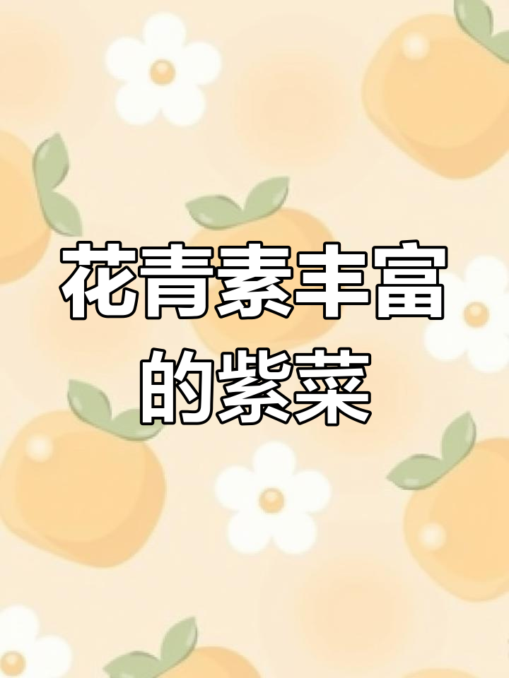 紫美人白菜,花青素满满,家里种一盆吧!
