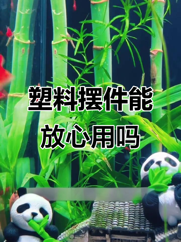 鱼缸里放塑料摆件，对鱼儿真的无害吗？