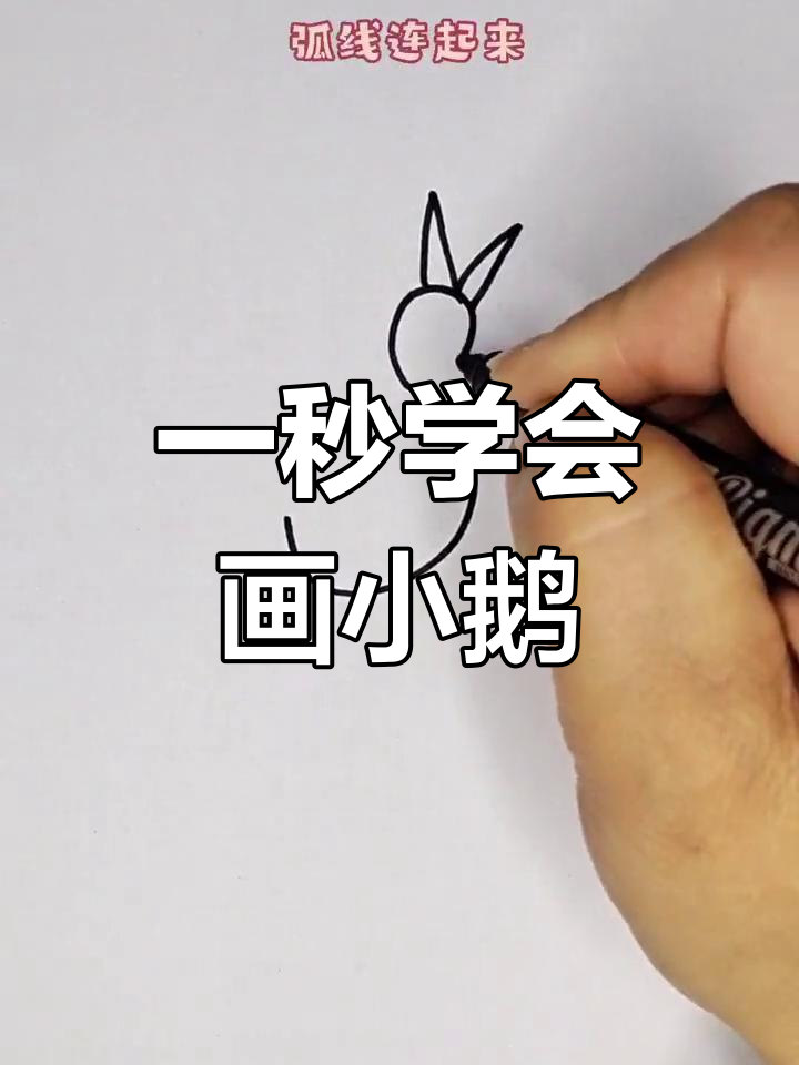 轻松画出骄傲小鹅,简单又可爱