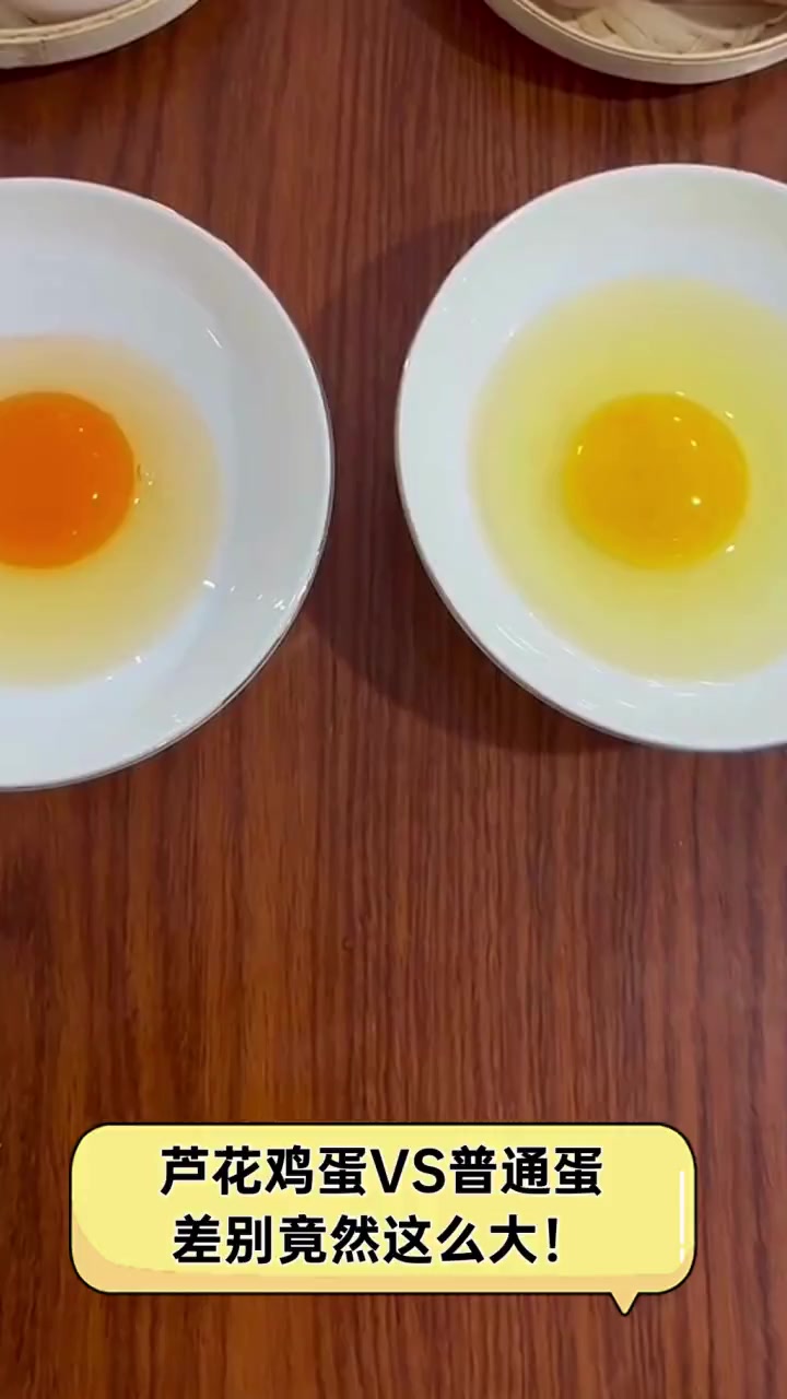 芦花鸡蛋VS普通蛋,差别竟然这么大!