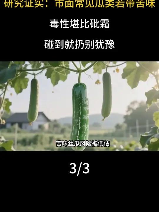 研究证实:市面常见瓜类若带苦味,毒性堪比砒霜,碰到就扔别犹豫