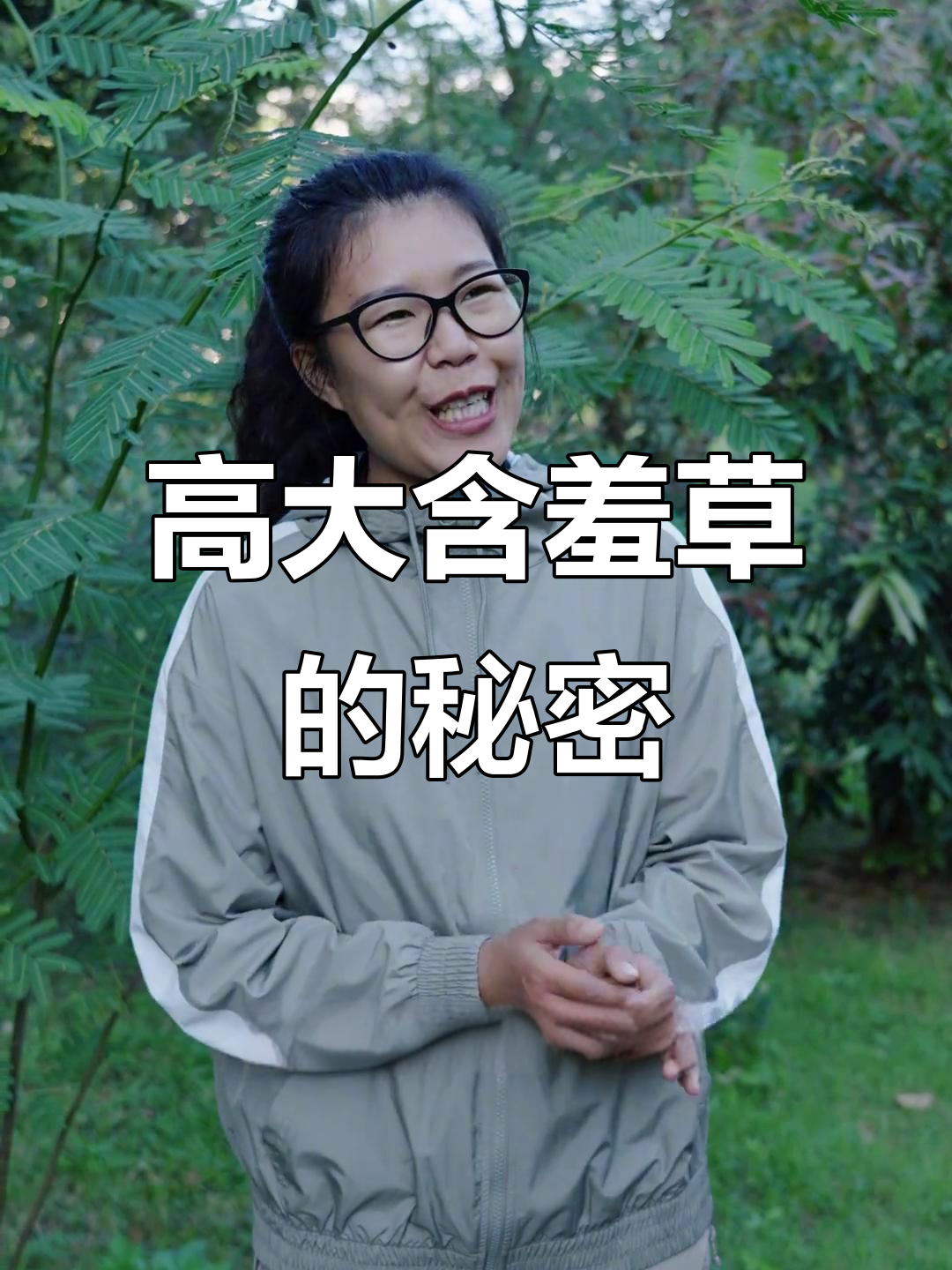 见过比人还高的含羞草吗?它竟然会害羞!