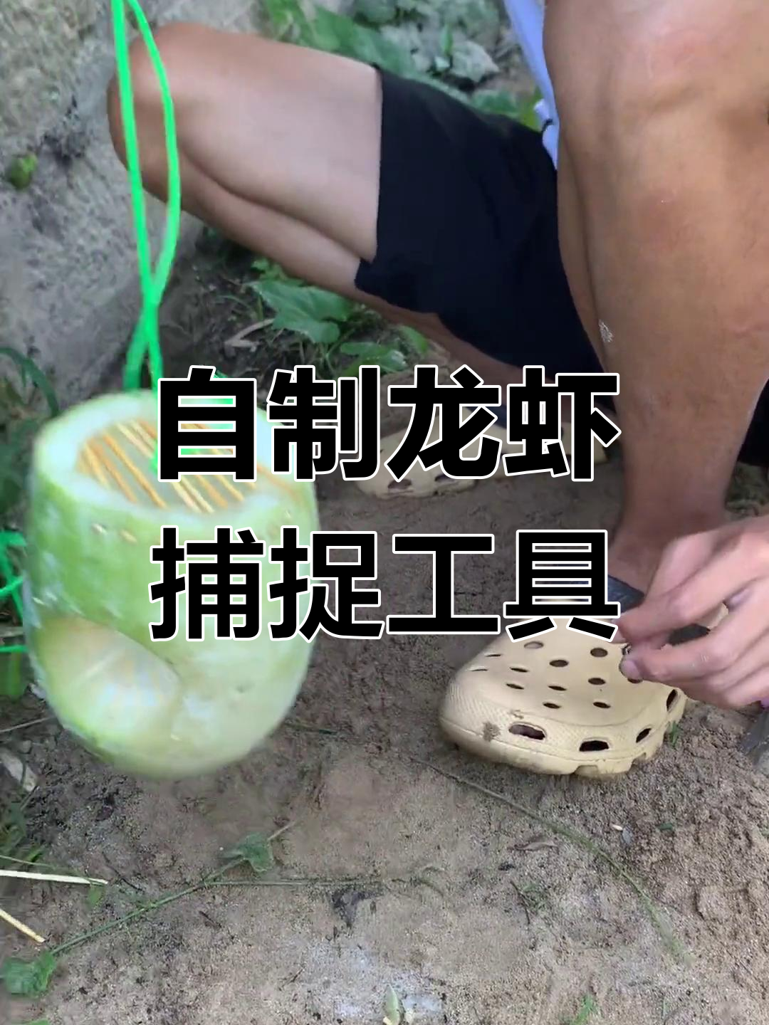 荷塘龙虾泥鳅抓不完,自制神器来帮忙