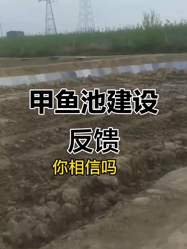 我们持续倾听,努力满足甲鱼养殖池建设的需求与建议