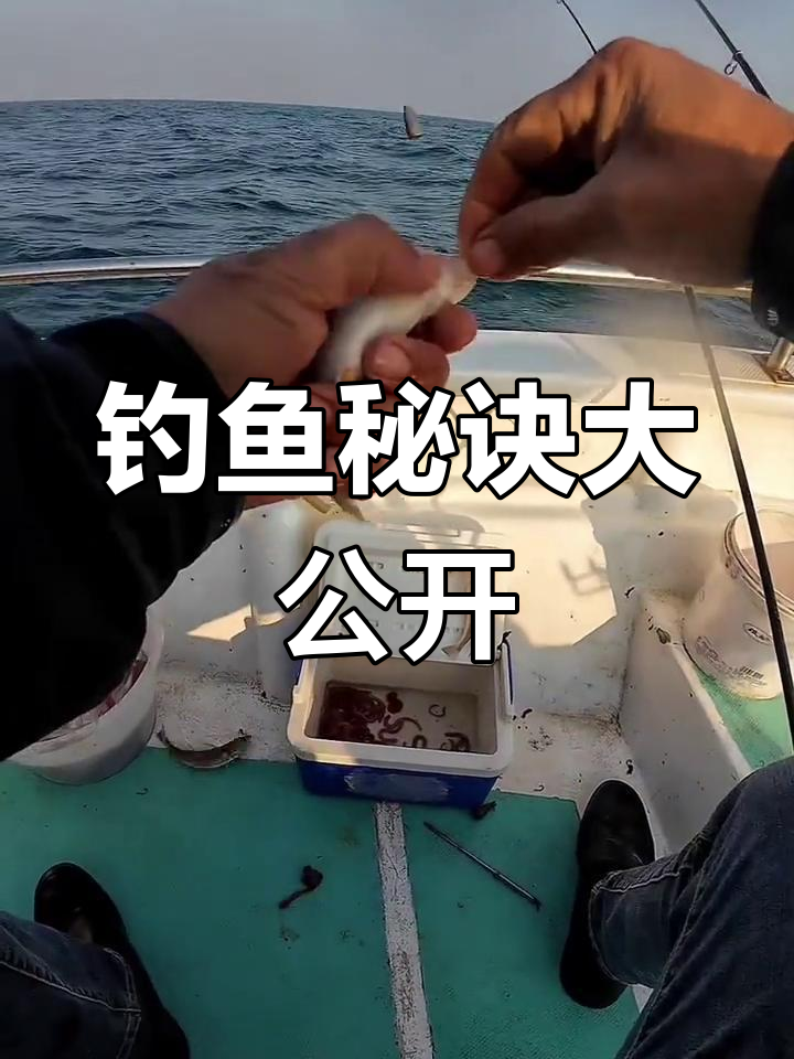 钓友们常问,今天揭秘我的钓鱼小窍门!