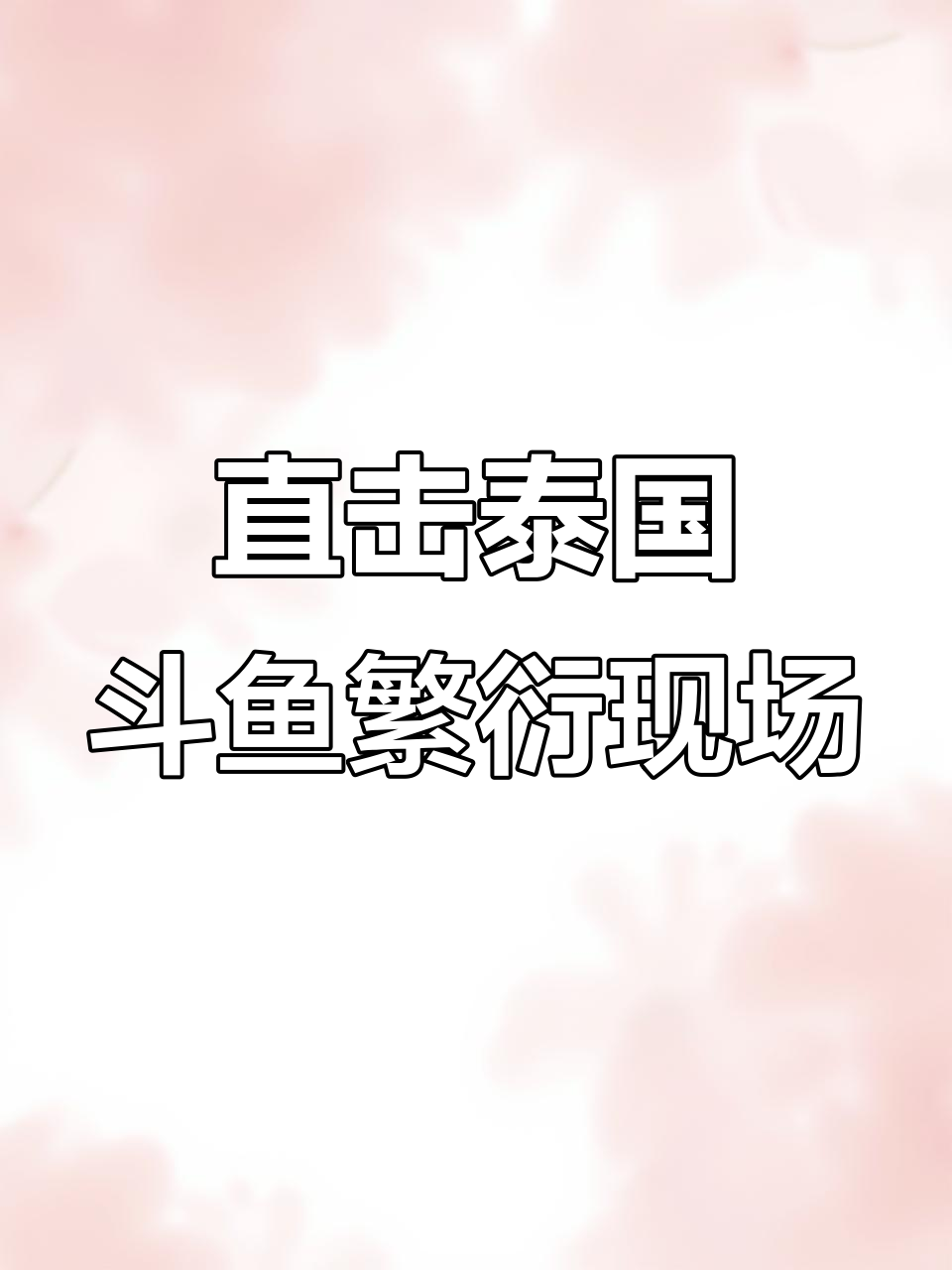 泰国斗鱼繁殖全过程,半月、粉白等品种出苗实录