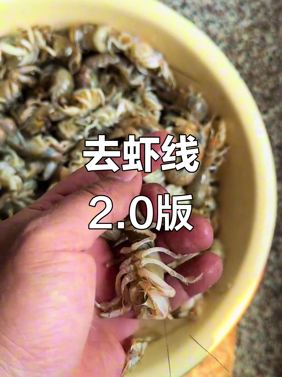 蝼蛄虾去线技巧大揭秘,轻松搞定!