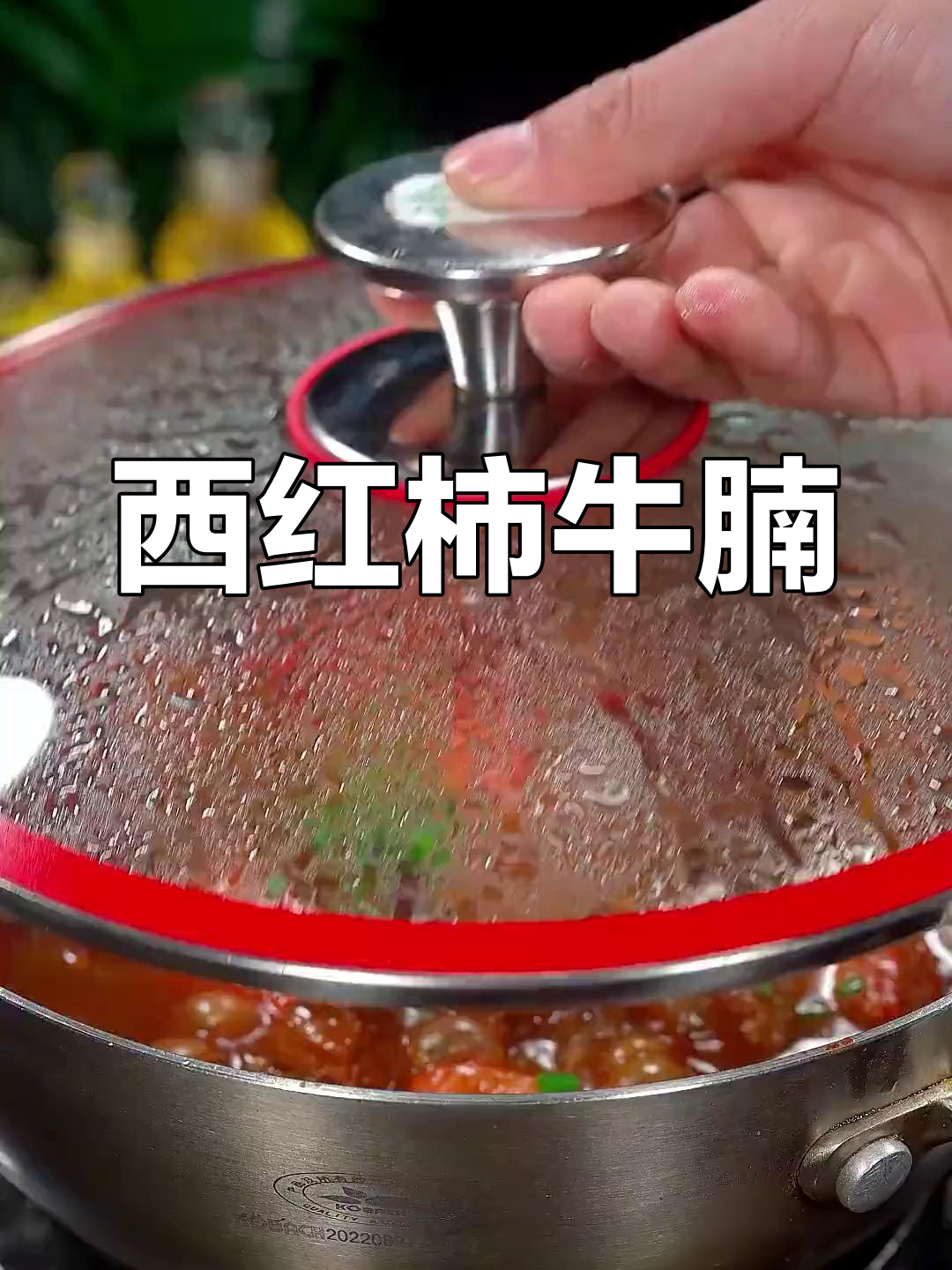 西红柿炖牛腩,家常做法超简单