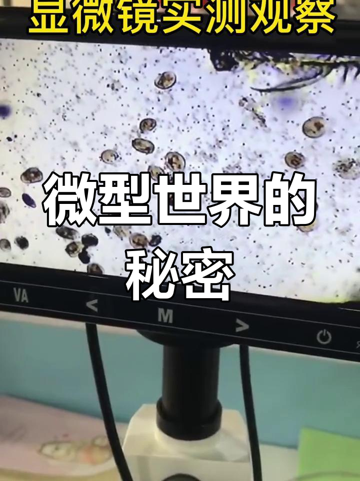 水产显微镜让你轻松探索微观世界,揭秘生物奥秘