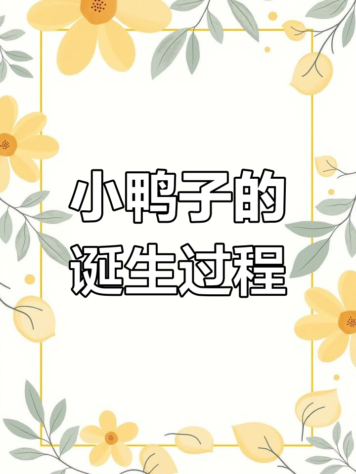 鸭子破壳瞬间,生命的力量展现