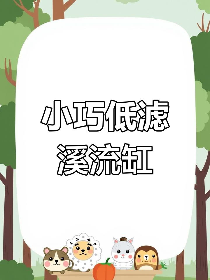 50x50低滤小方缸,打造溪流风格鱼缸