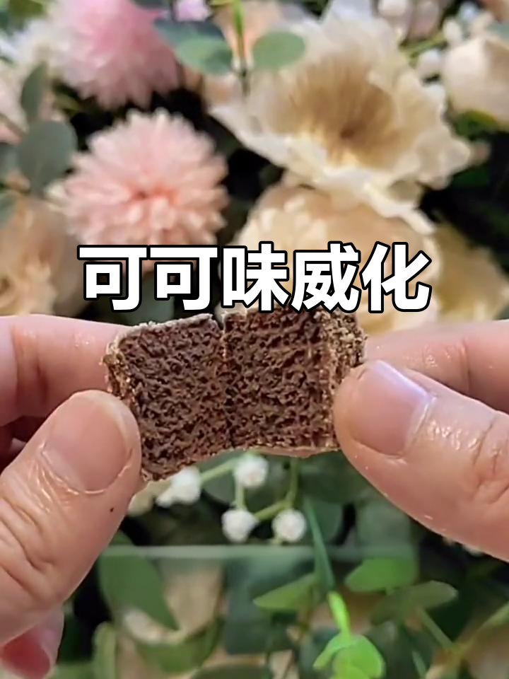 纯可可脂巧克力,马来西亚进口小方块威化