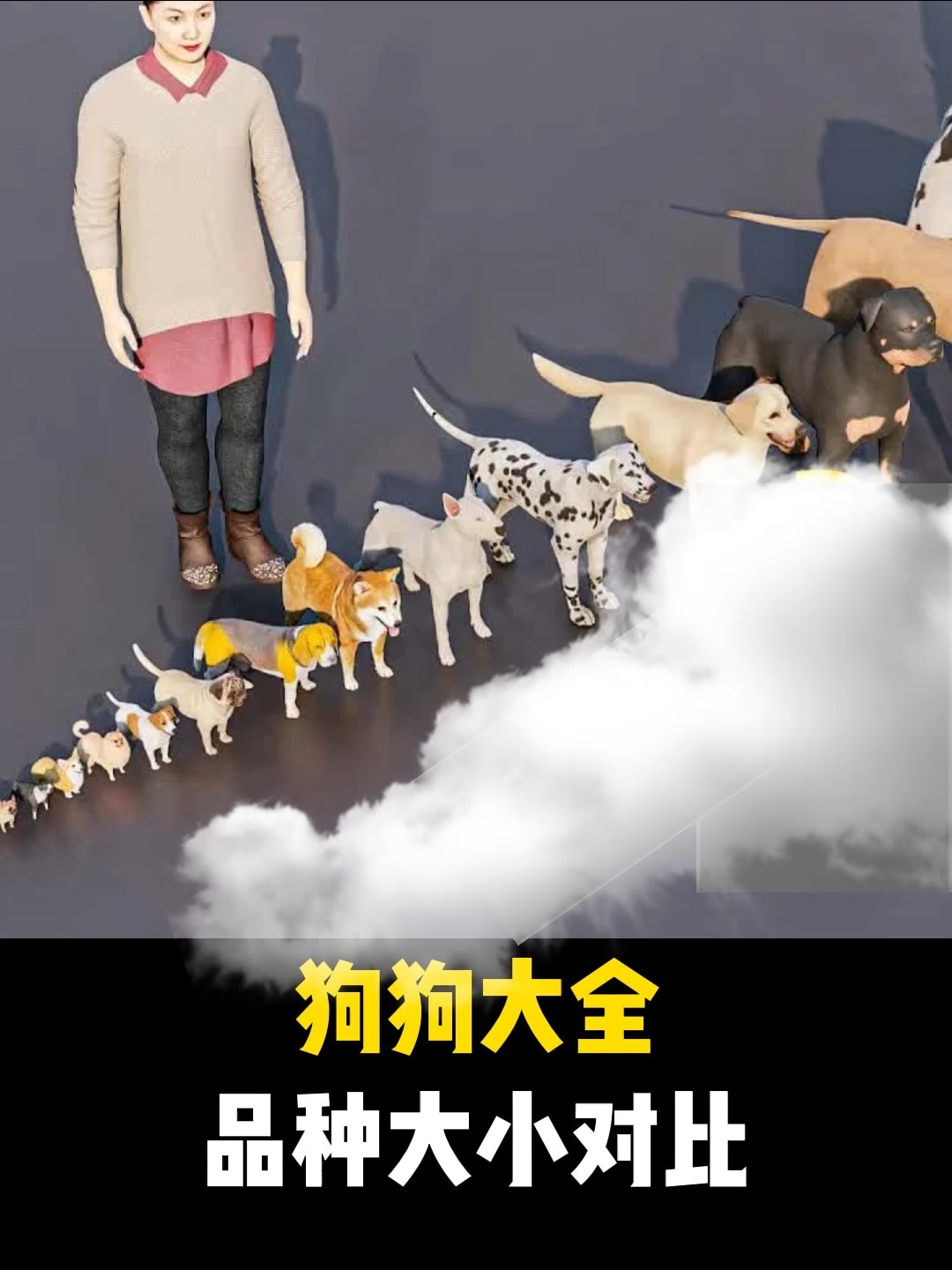 世界狗狗大全名犬品种大小对比谁最大