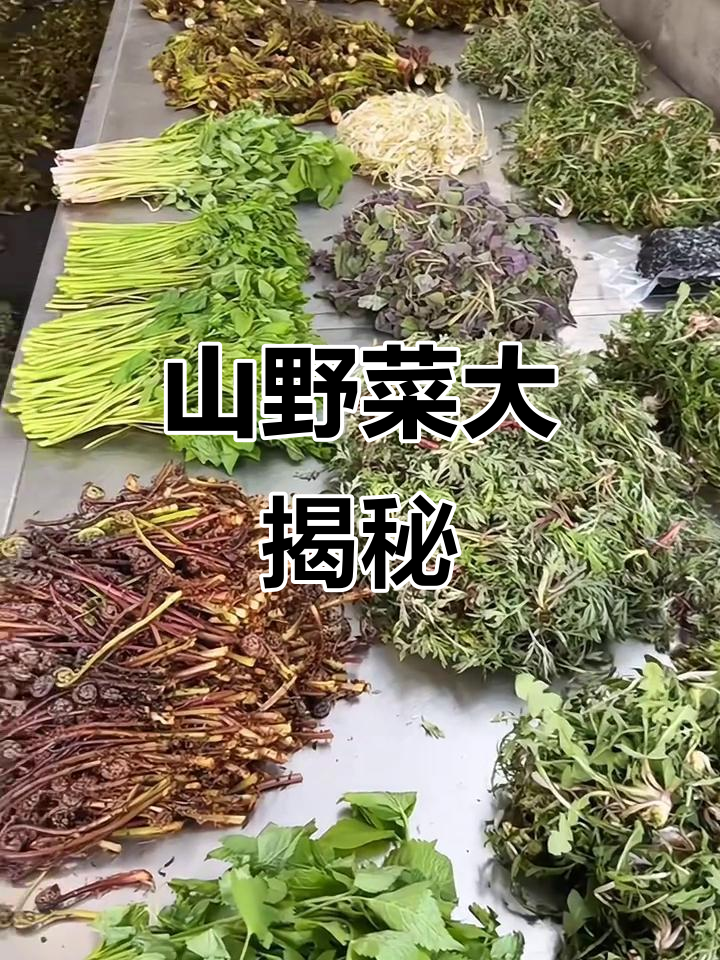 16种常见山野菜，你吃过几种？