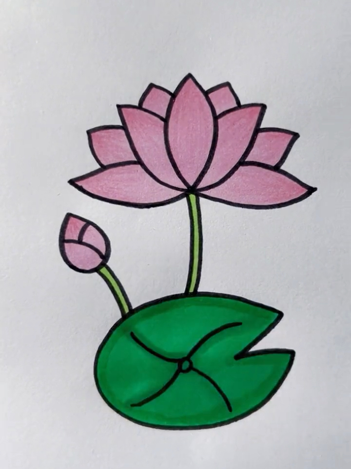简笔画荷花