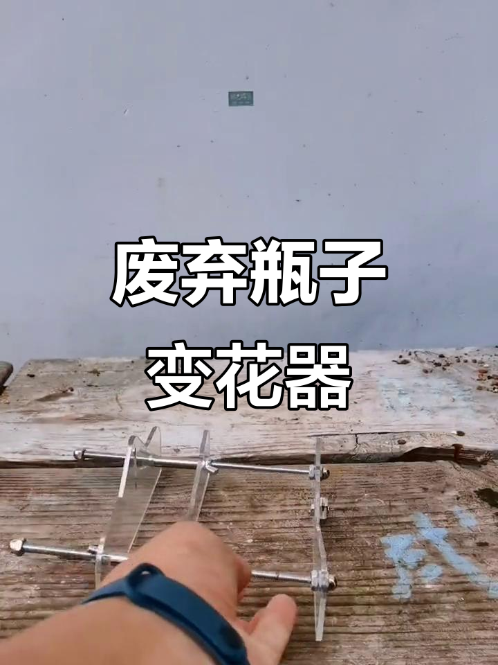 利用废玻璃瓶做创意盆栽,简单又环保