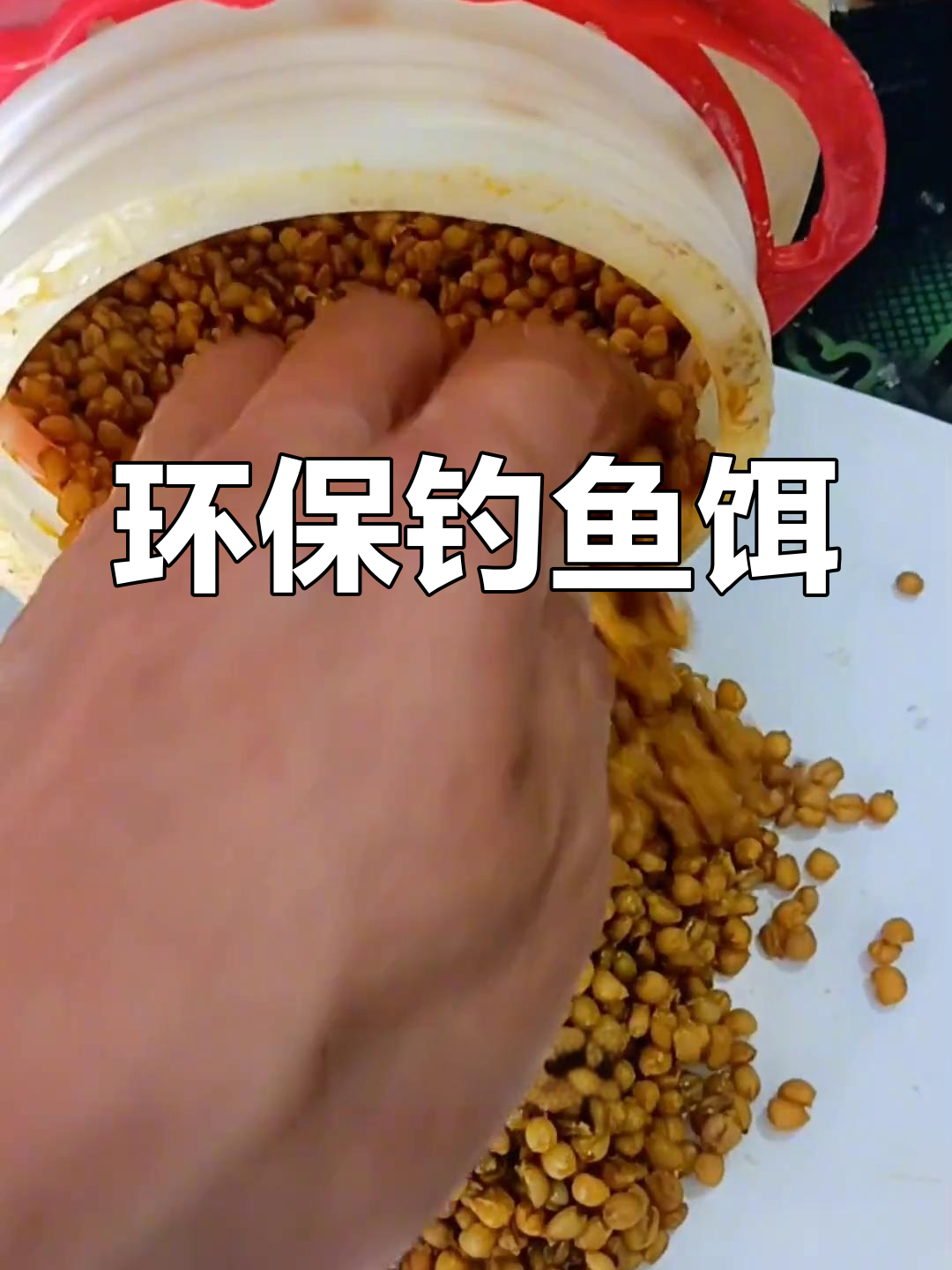 自制小麦饵,省钱又实用,鲫鲤皆爱!