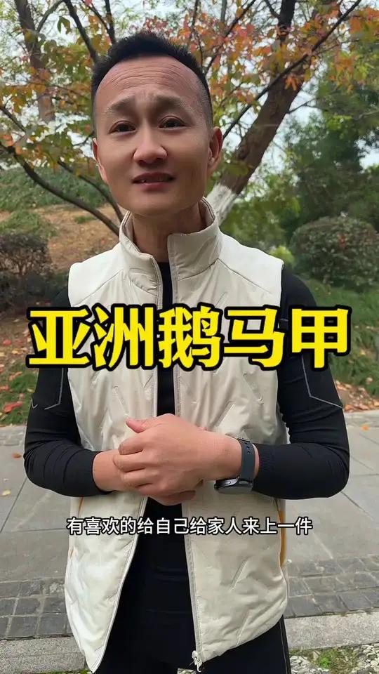 亚洲鹅这个马甲,只要79块钱,不输几百元的品质,防风防水科技保温棉,四个口袋,高领设计,男