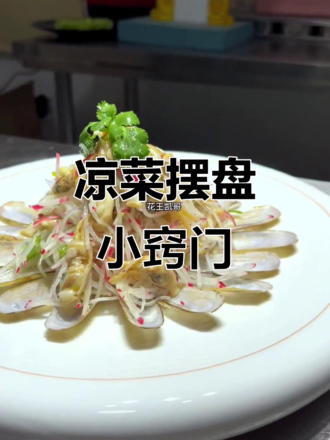 创意凉菜摆盘技巧大揭秘，轻松做出精美装饰