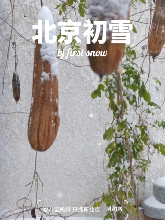北京初雪,没想到下了一晚上「亲吻」早起积了厚厚的一层! 熊孩子一早起床,套好衣服,披头散发