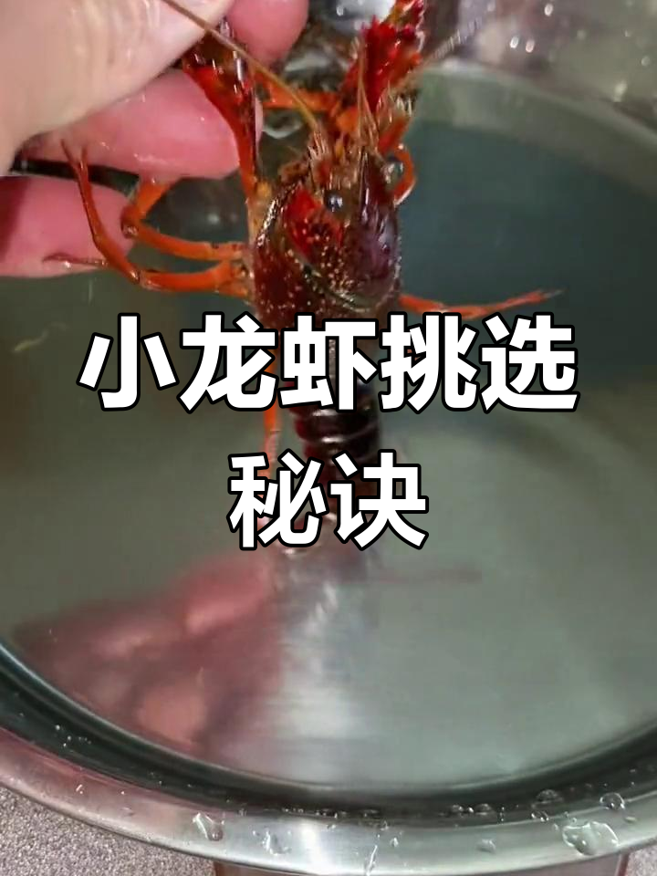 青虾肉质鲜嫩,红虾壳厚且年龄大