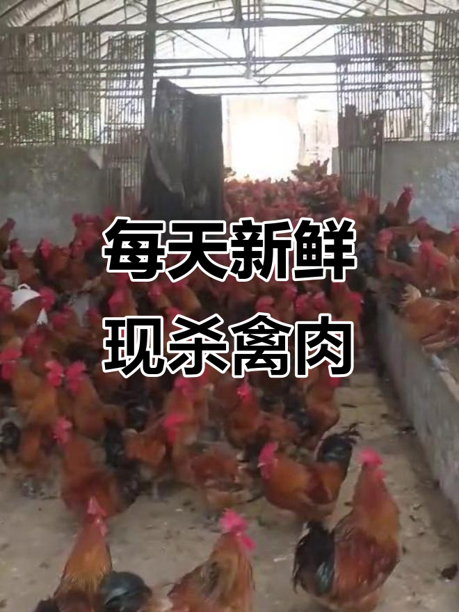 现杀鸡鸭鹅,新鲜食材每日供应