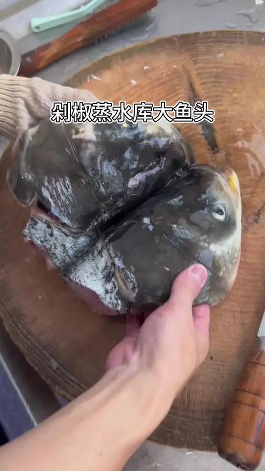 剁椒蒸水库大鱼头!搞到师傅有点大头 美食制作分享美食寻味烟火气