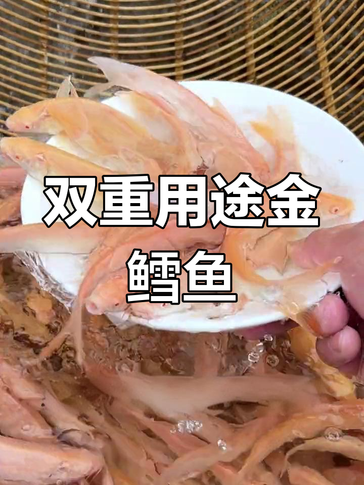 金丝银鳕鱼,观赏与食用两全其美,适合多种水域养殖