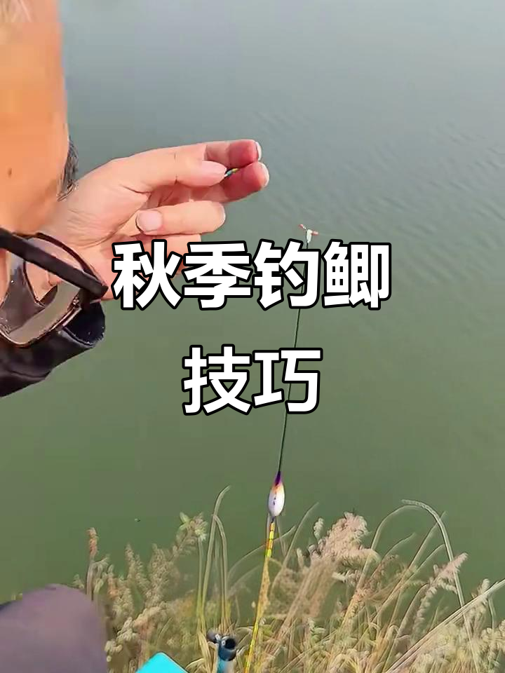 深秋钓鲫鱼技巧:选对窝点、饵料和漂足,轻松捕获大鲫