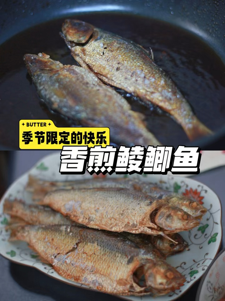今日的快乐是「鲮鲫鱼」给的